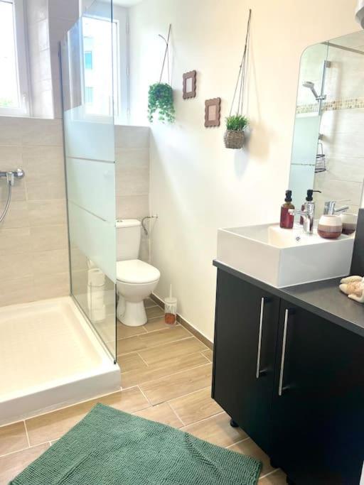 Logement Cosy Et Jardin Saint-Laurent-en-Royans Экстерьер фото